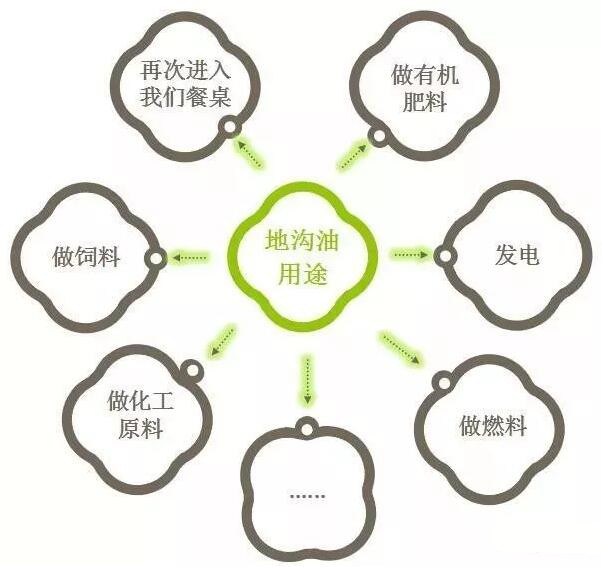 從“地溝油”到綠色未來(lái) 環(huán)保水性漆與生物有機(jī)肥料的創(chuàng)新之路