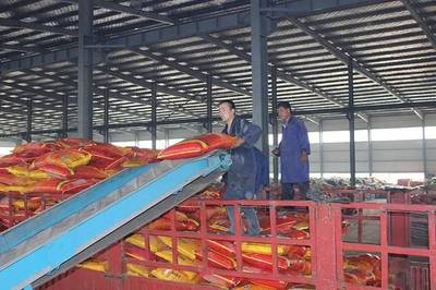 成長之星 | 源科生物 治理農(nóng)業(yè)面源污染，從土壤修復(fù)開始——生物有機(jī)肥料研發(fā)之路