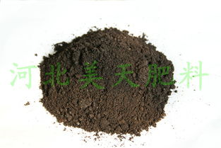 河北美天集團(tuán) 以科技創(chuàng)新引領(lǐng)質(zhì)高效生物有機(jī)肥料研發(fā)，助推綠色農(nóng)業(yè)可持續(xù)發(fā)展
